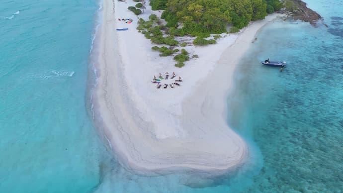 Stay Mikado, Primary image