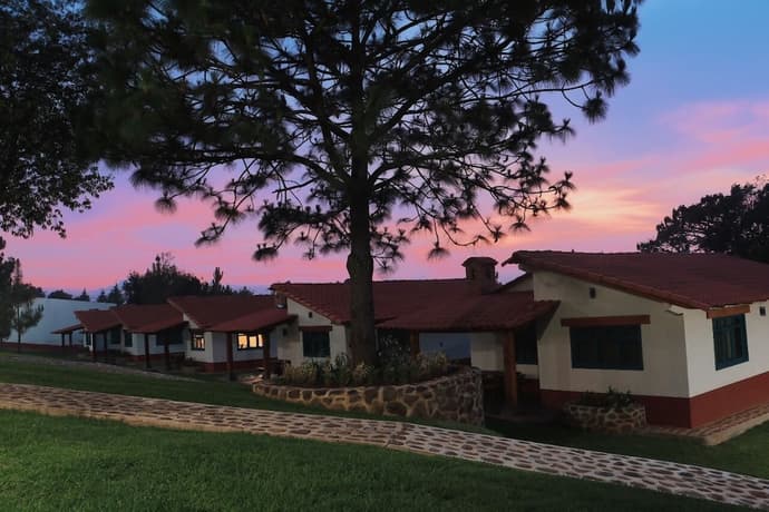 Mazzatl, Primary image