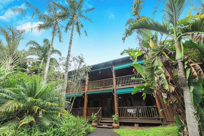 Atherton Blue Gum, Primary image