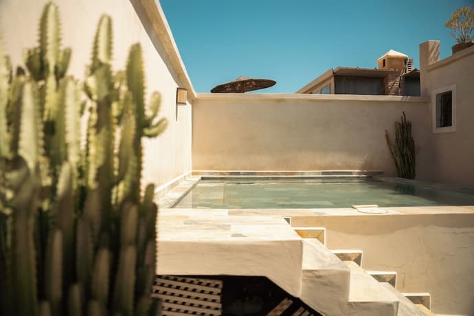 Ryad Selyen, Primary image