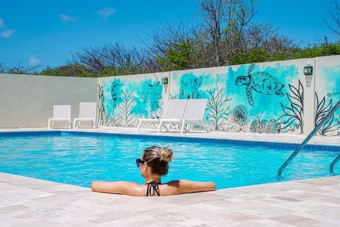 Dream of the Green Flamingo, Primary image