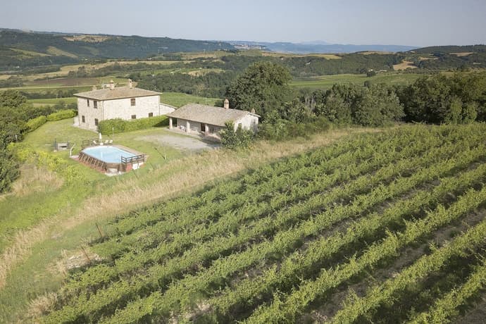 Tenuta di Corbara, Primary image