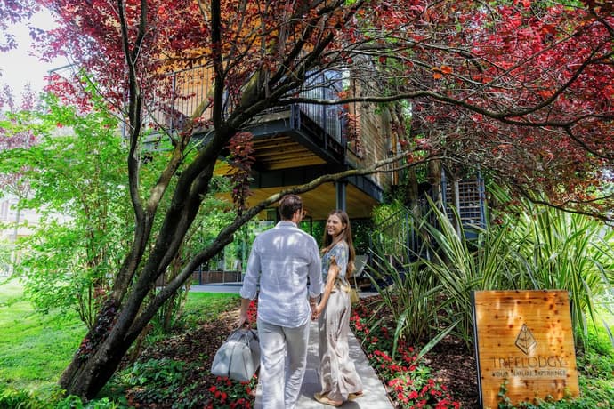 Treelodgy, Primary image