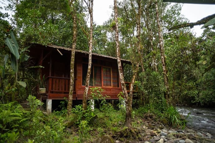 River Song's Hotel, Primary image