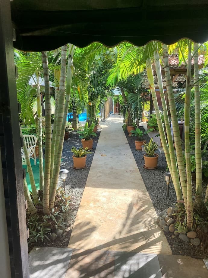 Green Oasis Hotel, Primary image