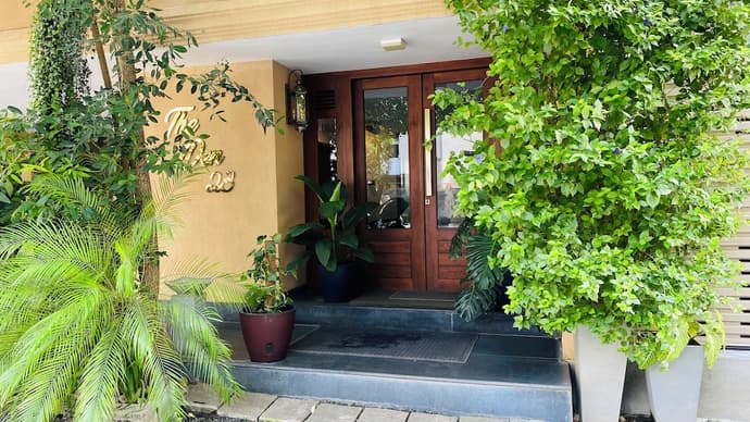 THE DEN 23, Primary image