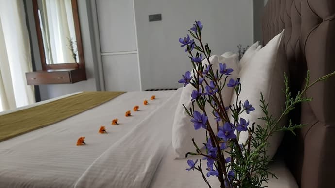 Tea Mount Forest Hotel, Primary image