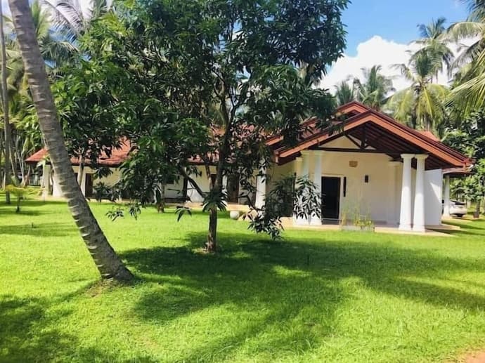 Coco Villa Peach Tree, Primary image