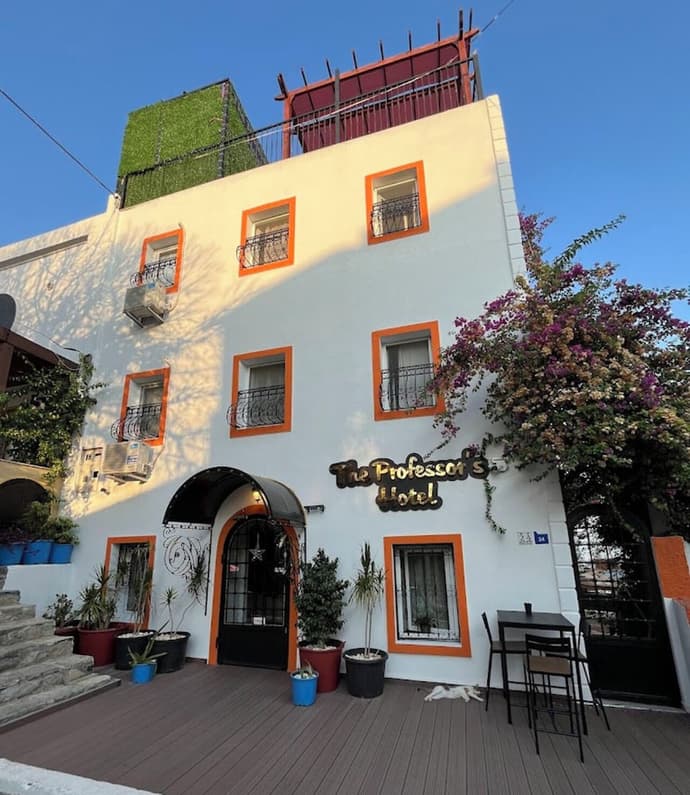 The Professor's Hotel, Primary image