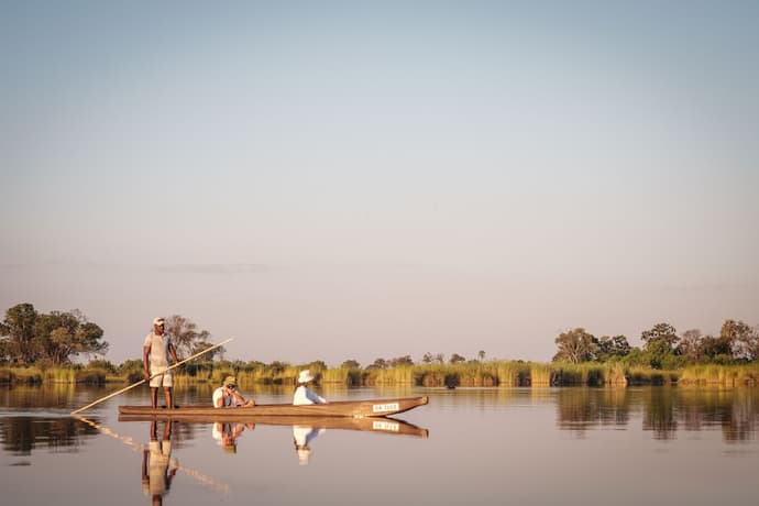 Cha Cha Metsi, Primary image