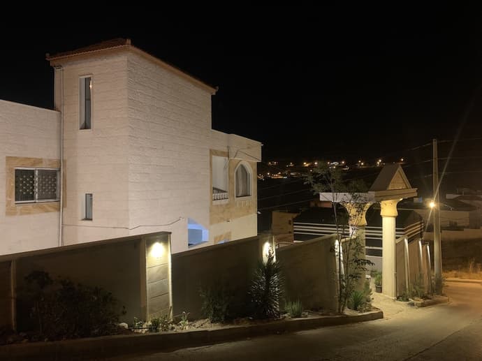 Paradise Tree, Primary image