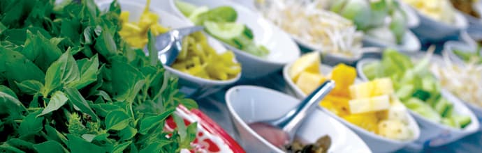 Chiang Mai & Golden Triangle