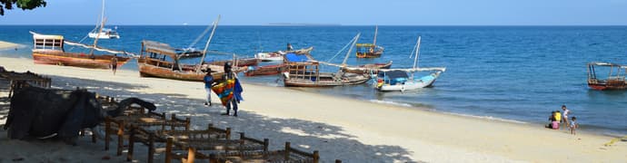 Zanzibar Beach Break