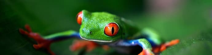 Best of Costa Rica Family Holiday