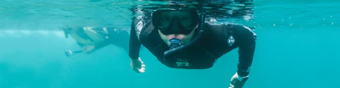 Ecuador Highlands & Galapagos