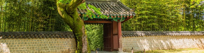 Essential South Korea