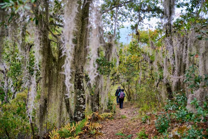 Hiking in Mexico: Oaxaca’s Indigenous Highlands