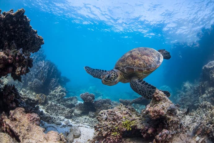 West Coast Adventure (Southbound)