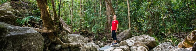 Best of Cairns, Great Barrier Reef & Daintree