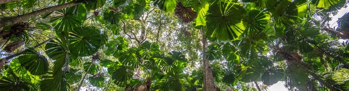 East Coast Australia Adventure