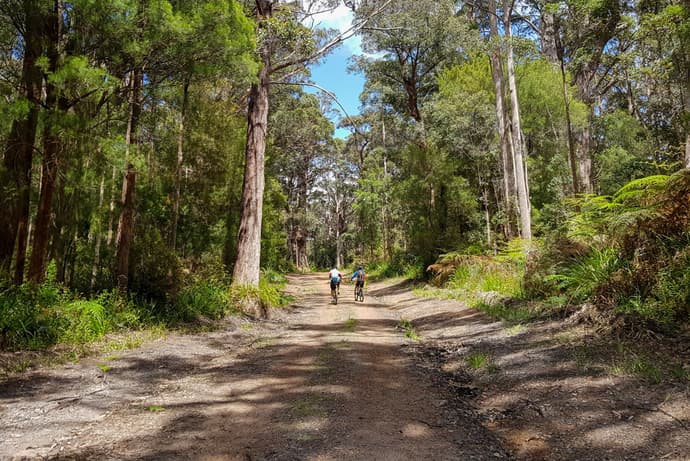 Cycle the Munda Biddi Trail: Walpole to Manjimup