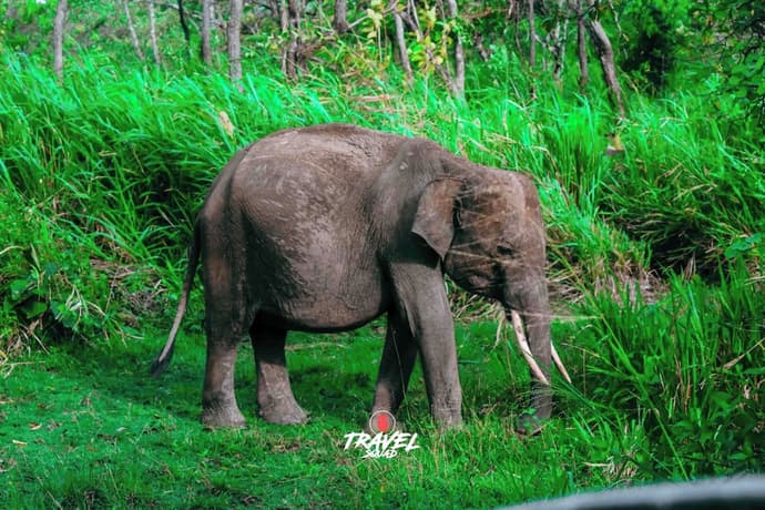 Tamarind Tamarind Resort, 