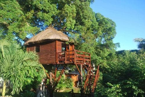 Tree Lodge Mauritius, 