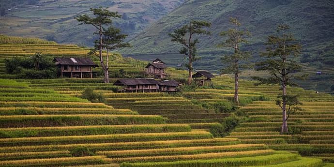 Classic Vietnam: Sapa to Ho Chi Minh