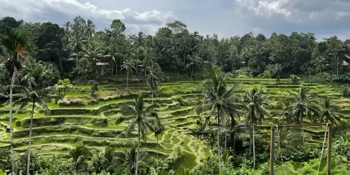 Bali’s Wild Heart: Soul, Surf & Spirit