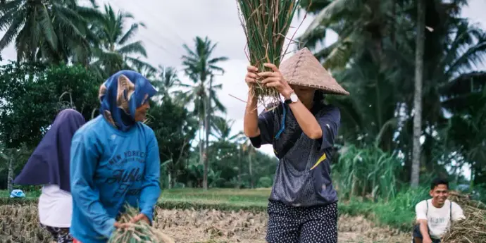 Lombok & Gili Adventure: Culture, Peaks & Paradise