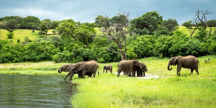 Zimbabwe & Botswana Safari: Victoria Falls & The Big Five