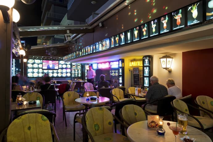 Amaryllis, General view