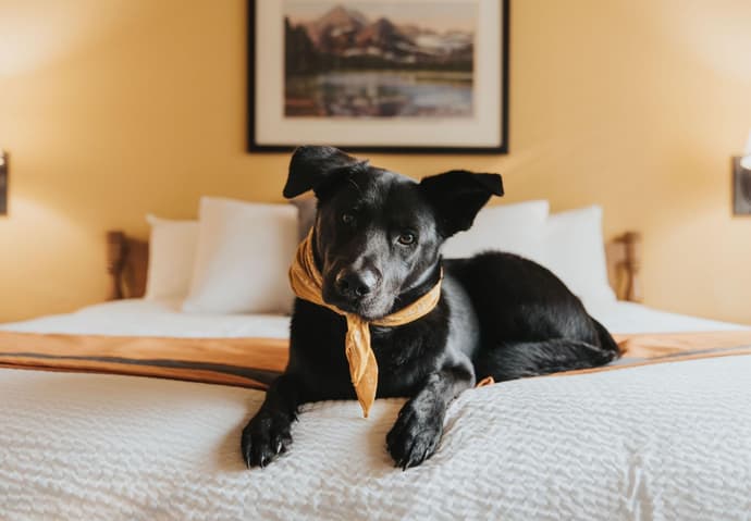 Grouse Mountain Lodge, General view