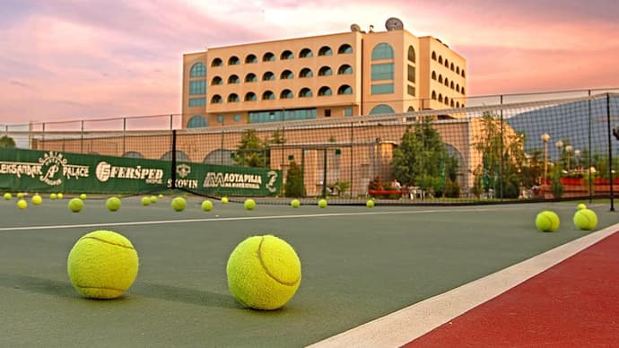 Aleksander Palace, General view