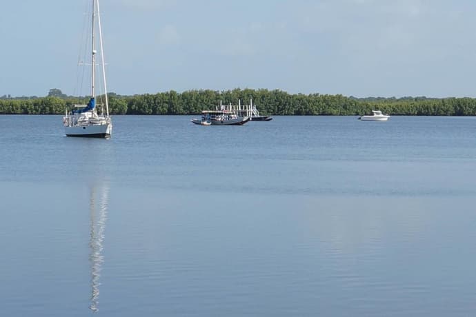 Lemon Creek, General view