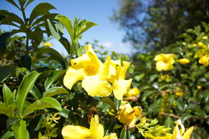 Colibri Guest House, General view