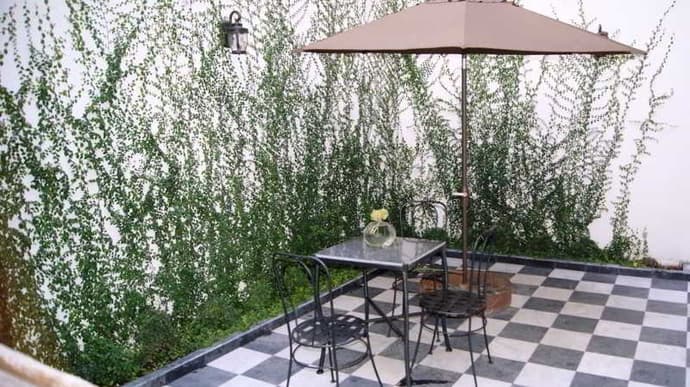 Gertrudis Hotel, General view