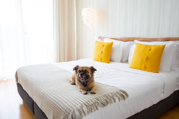 Cerca Design House, General view