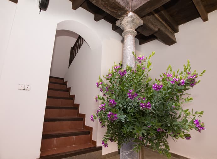 Apartamentos Nahira Suites 3000, General view