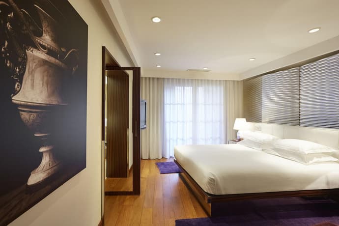 Maison Pic, General view