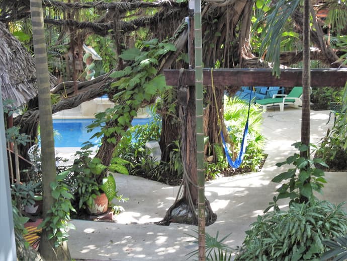 Eco-hotel El Rey Del Caribe, General view