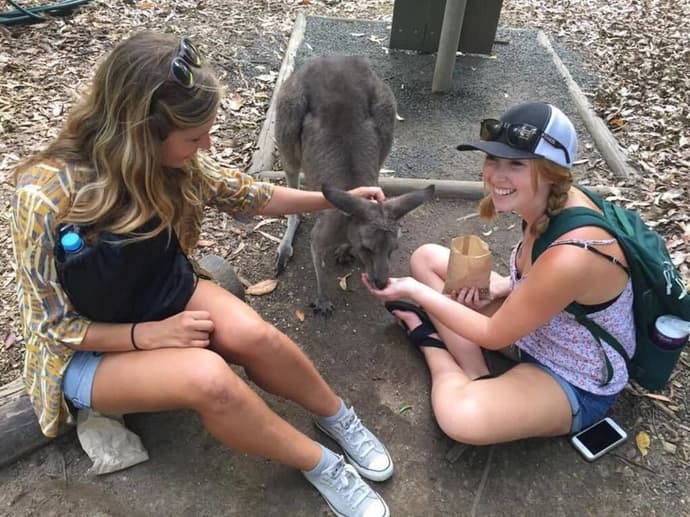 MOOLOOLABA BACKPACKERS, 