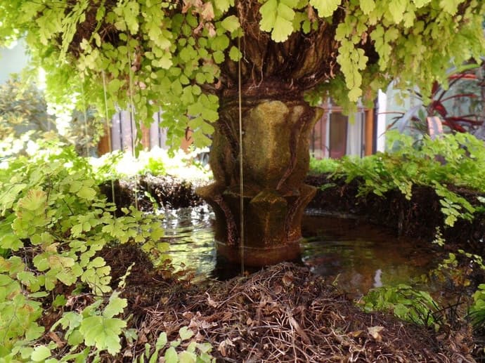 HOSTAL EL PATIO B&B, 