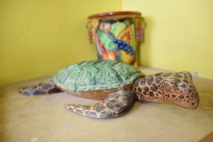 CANCUN GUEST HOUSE 1, 