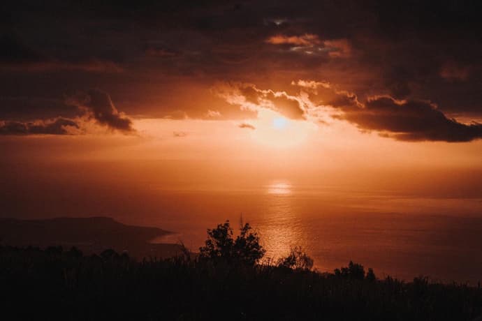 Ferme l'Eau de Coco, 