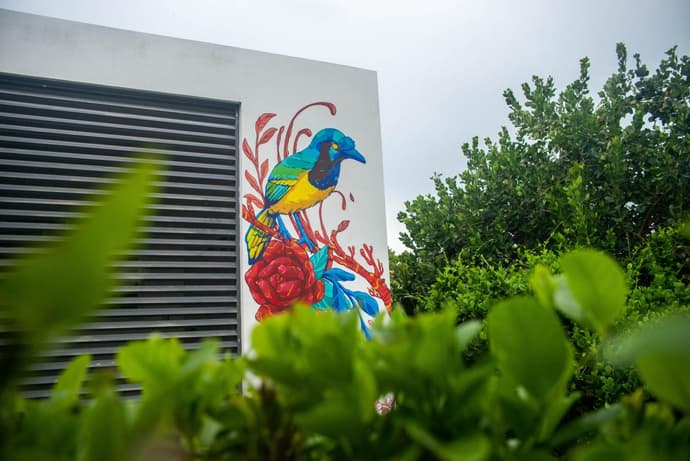 Departamentos Internazionale, 