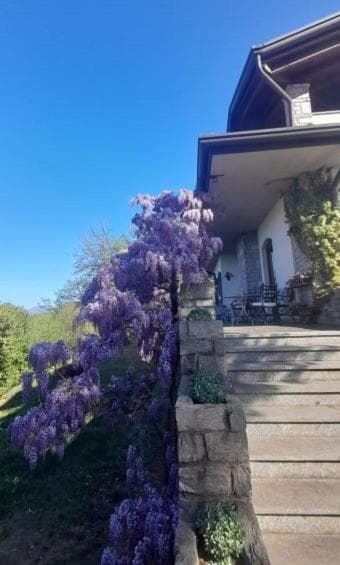 Al Picchio Verde A.P.S., 