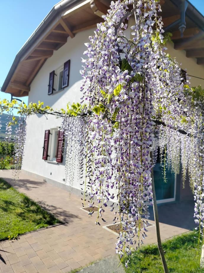 Agritur Lavanda, 