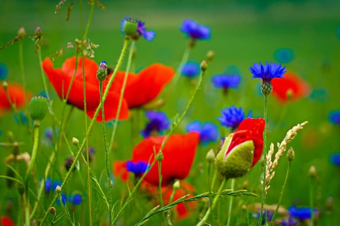 Ferienwohnung Osterfeld, 