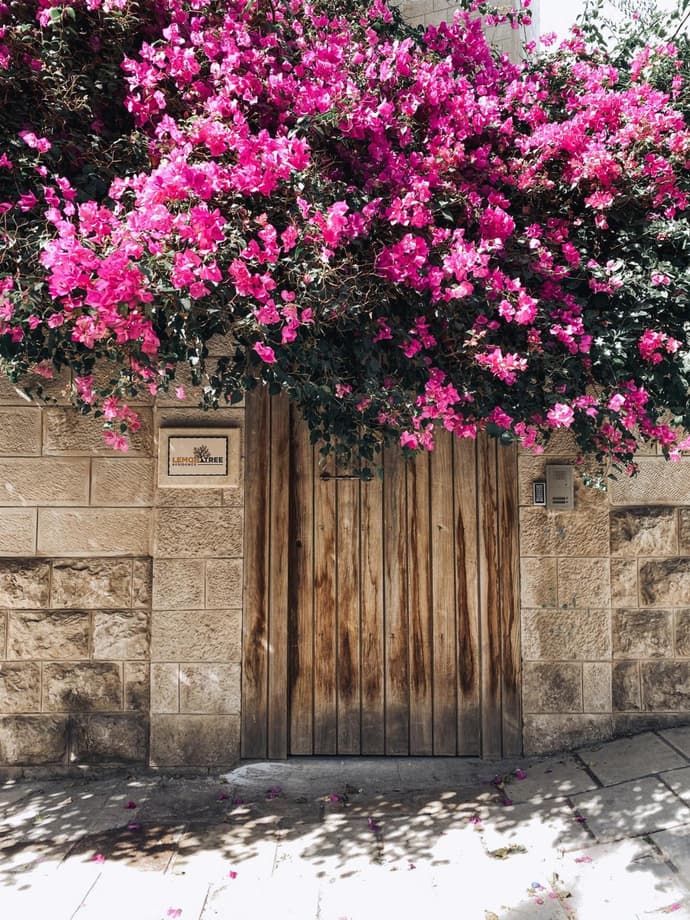 Lemon Tree Residence, 